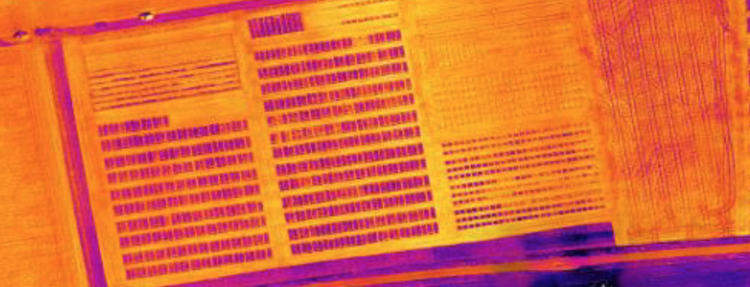 Aerial-thermography-agriculture-sensors