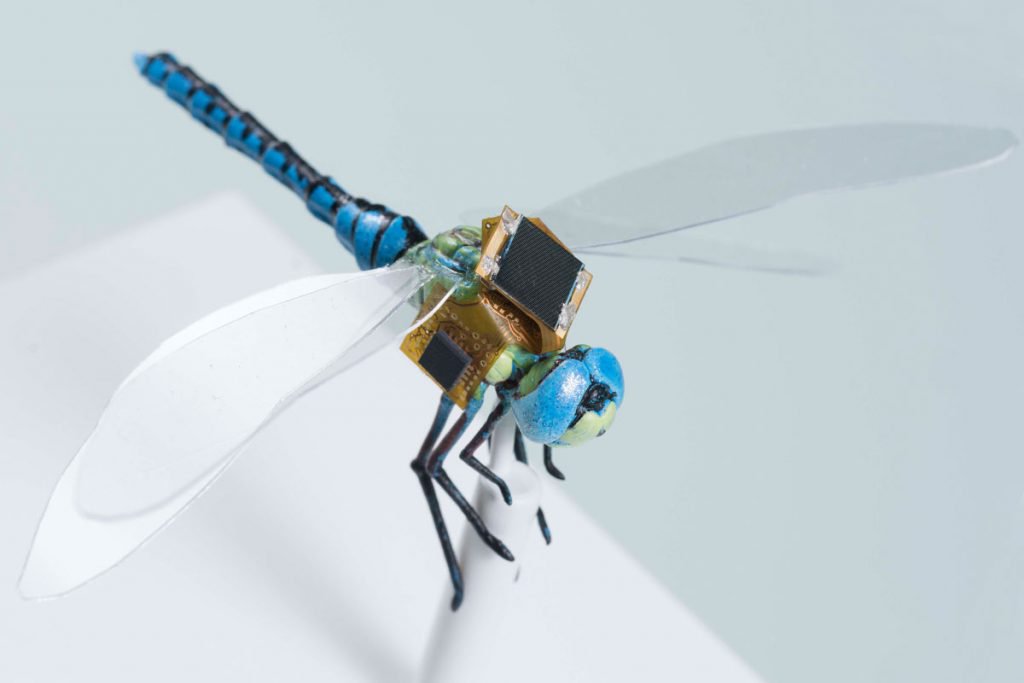dragonfly drone