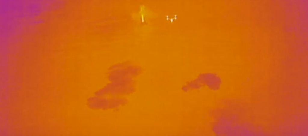 ocean alliance thermal images of whales in alaska