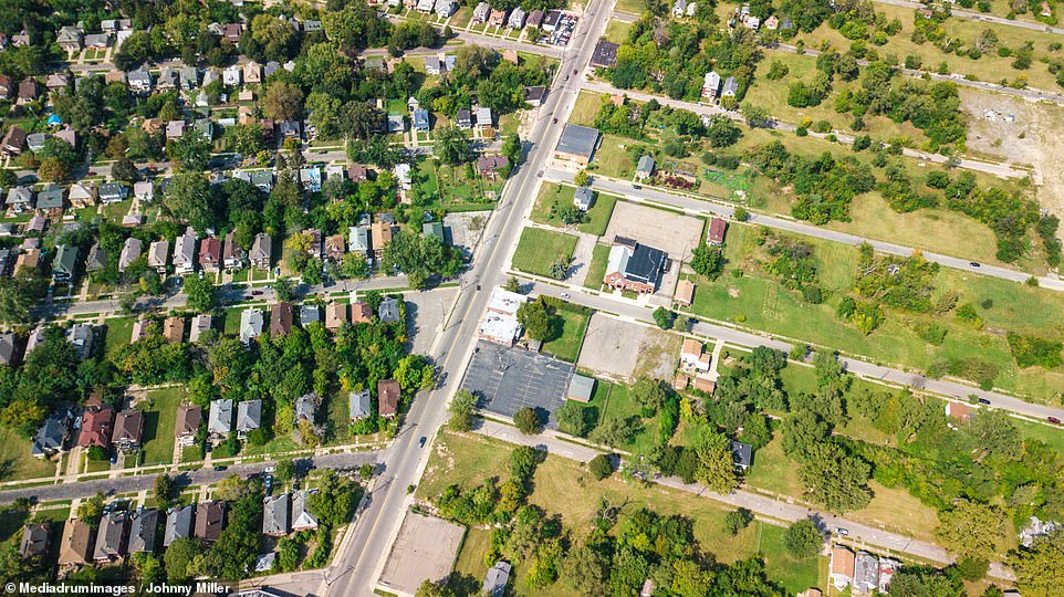 Another angle of Woodward Avenue, in Detroit, shows a clear dividing line between spacious greenery on one side, and homes packed in together on the other