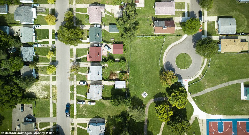 He captures The Wall which historically separated white and black neighborhoods in Detroit (the remnants of the wall can be seen at the end of the backyards of the line of homes in center, separating the yards from the field) 