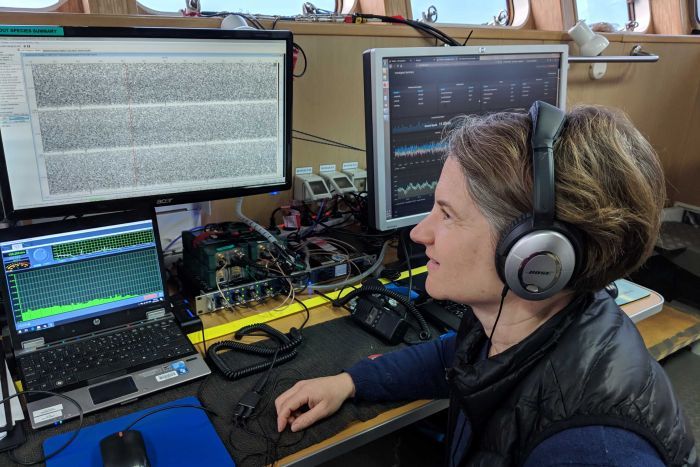 Susannah Calderan monitoring blue whale calls on the Investigator