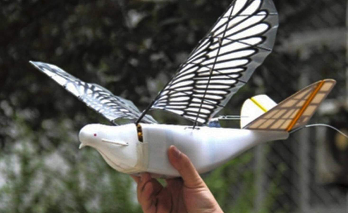 China Bird Drone