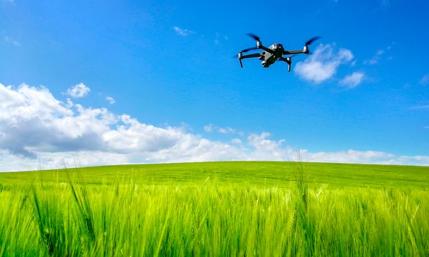 A Mavic 2 drone over a field of barley. Farmers are increasingly using drones and apps such as Skippy Scout to autonomously capture and interpret images of crops