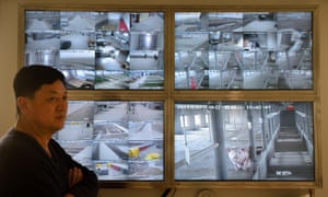 The boss of a pig farm in Tangshan, Hebei in front of a wall of CCTV screens.