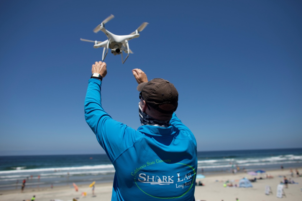 Drones are an increasingly popular tool for spotting sharks well before they approach the shoreline, both for safety and research reasons.