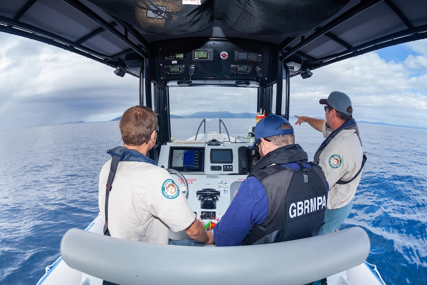 Two Qld marine rangers and a GBRMPA officer are on a boat surveying the reef.